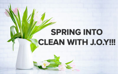 SPRING INTO CLEAN WITH J.O.Y!!!