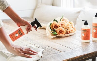 🍂 Fall Cleaning: Why It’s Becoming the New Spring Cleaning