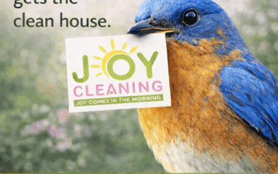 The Early Bird Gets the Clean House: Why You Should Get Ahead of Spring Cleaning 🌼