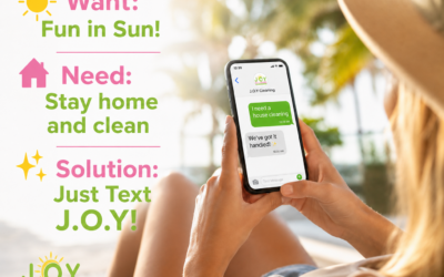 Want Fun in the Sun? Don’t Stay Home Cleaning 😎☀️